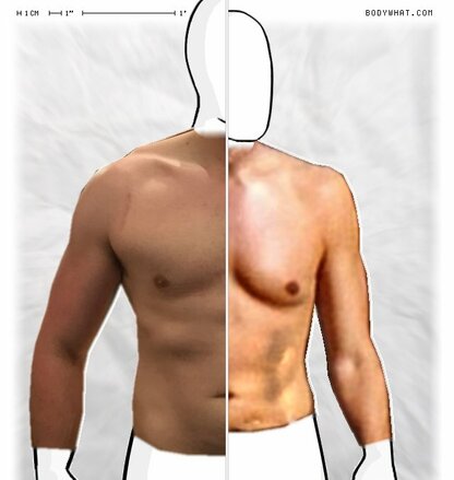 Torso Comparison