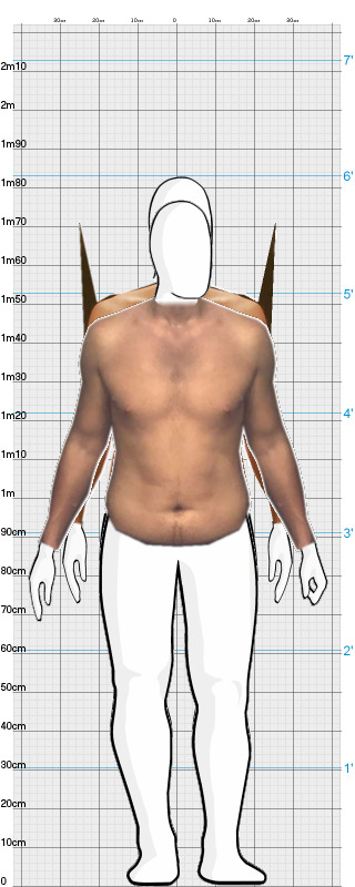 Full Size Comparison