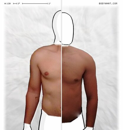 Torso Comparison