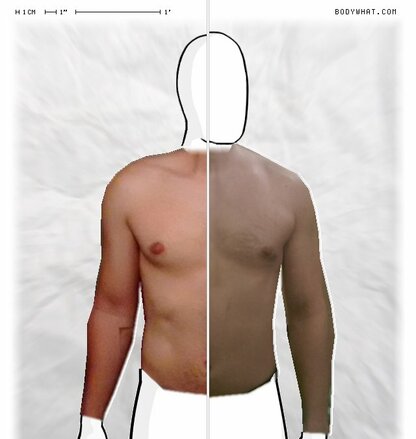 Torso Comparison