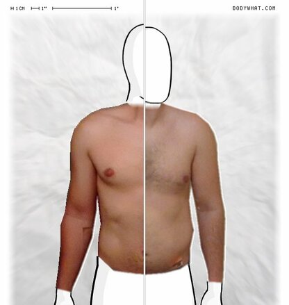 Torso Comparison