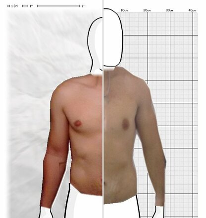 Torso Comparison