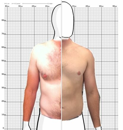 Torso Comparison