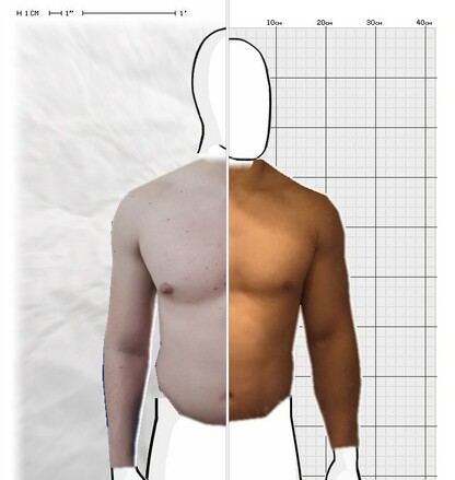 Torso Comparison