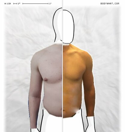 Torso Comparison