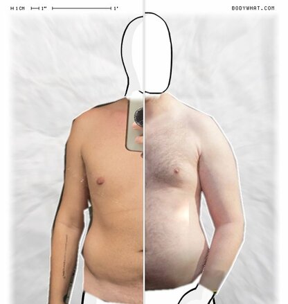 Torso Comparison