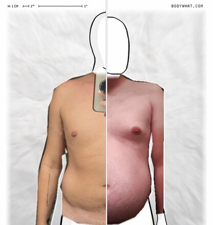 Torso Comparison