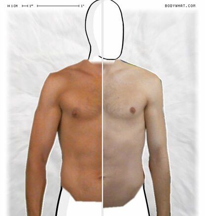 Torso Comparison