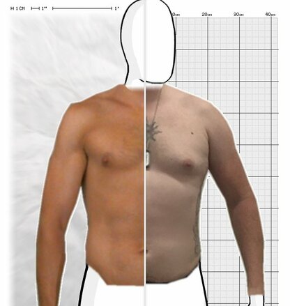 Torso Comparison