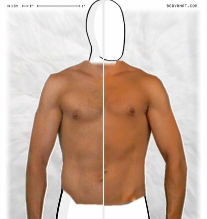 Torso Comparison