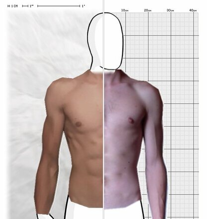 Torso Comparison