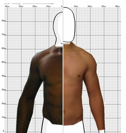 Torso Comparison