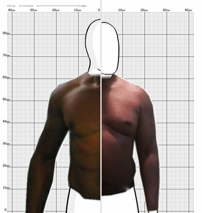 Torso Comparison