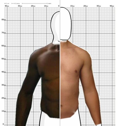 Torso Comparison