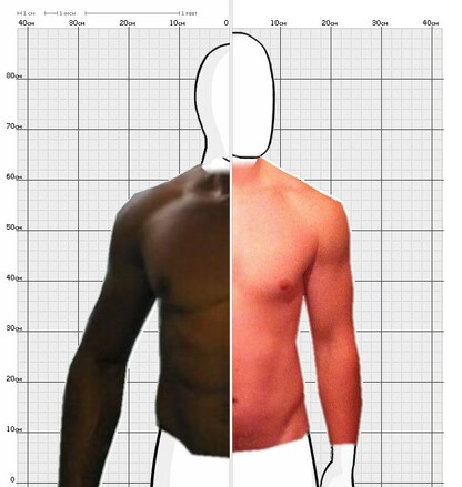 Torso Comparison