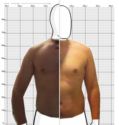 Torso Comparison