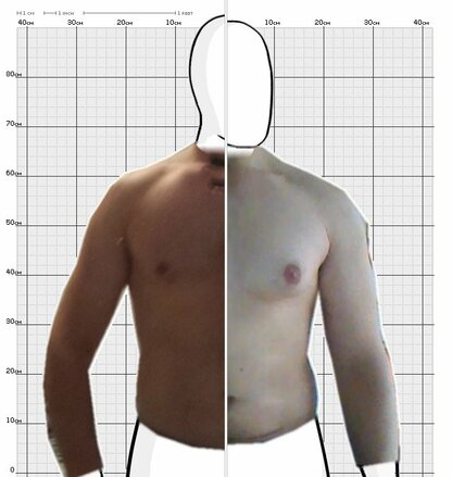 Torso Comparison