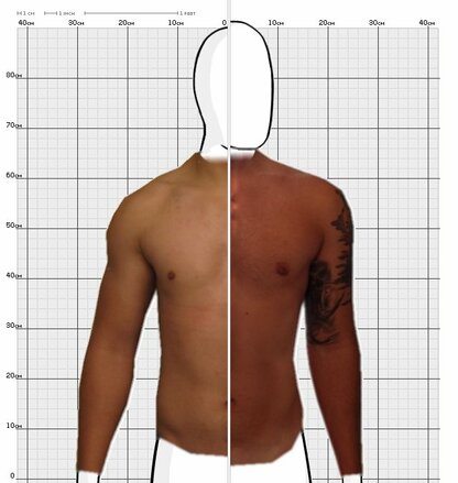 Torso Comparison