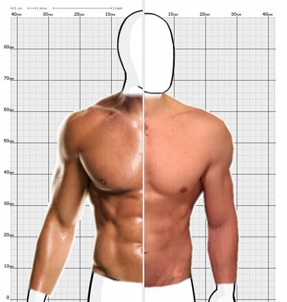 Torso Comparison