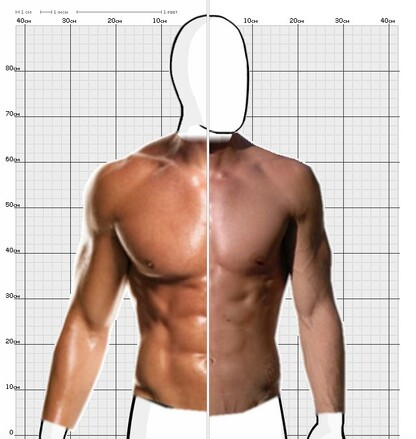 Torso Comparison