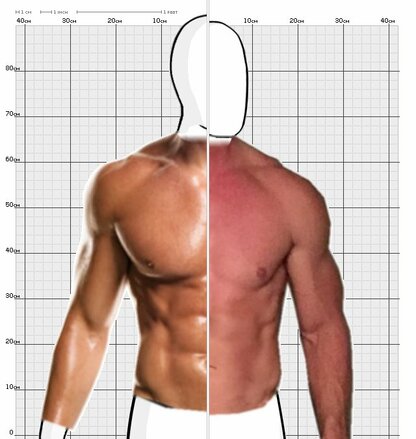 Torso Comparison