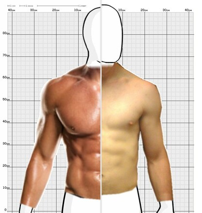 Torso Comparison