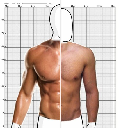 Torso Comparison