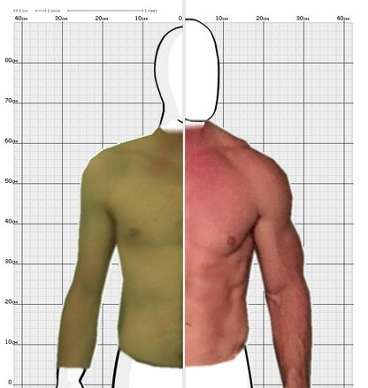 Torso Comparison