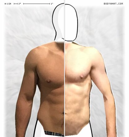 Torso Comparison