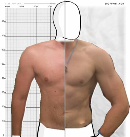 Torso Comparison