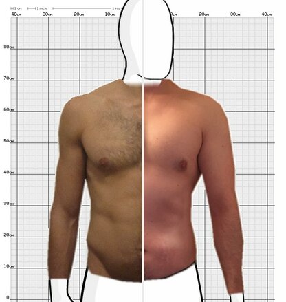 Torso Comparison