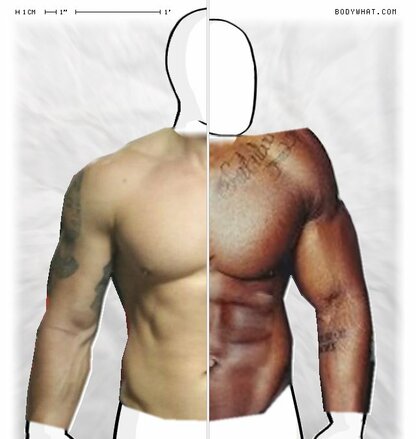 Torso Comparison