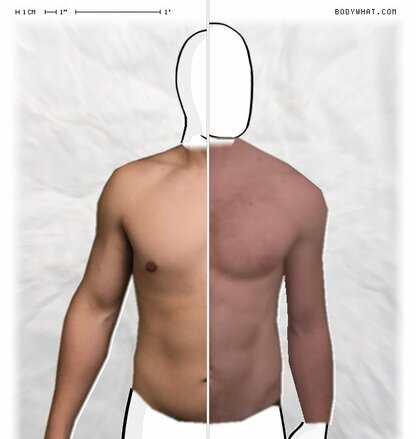 Torso Comparison