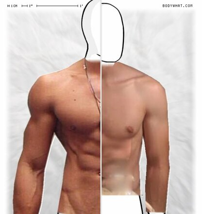 Torso Comparison