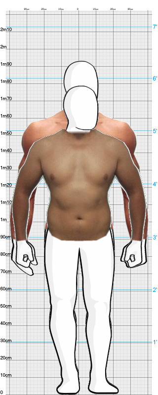 Full Size Comparison