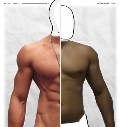 Torso Comparison