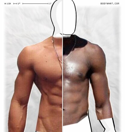 Torso Comparison