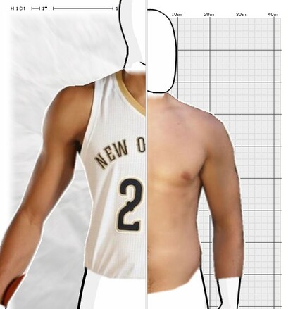 Torso Comparison