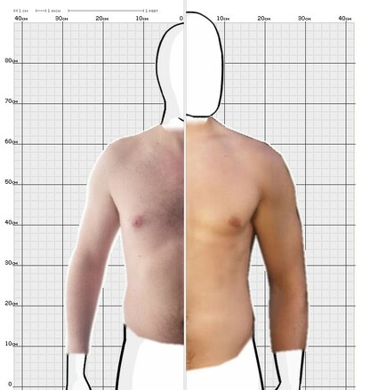 Torso Comparison