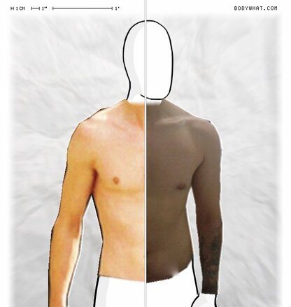 Torso Comparison