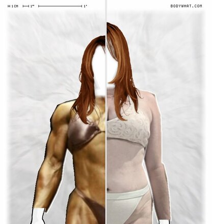 Torso Comparison