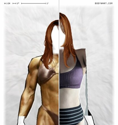 Torso Comparison