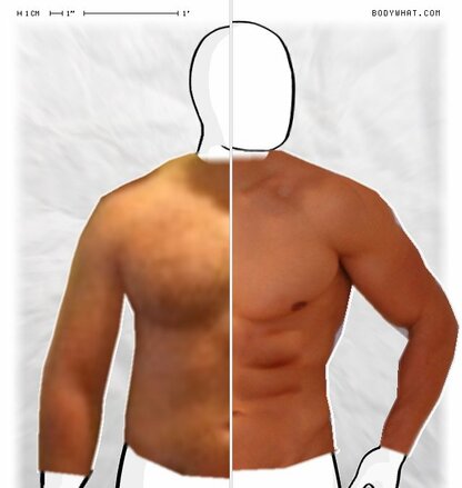 Torso Comparison