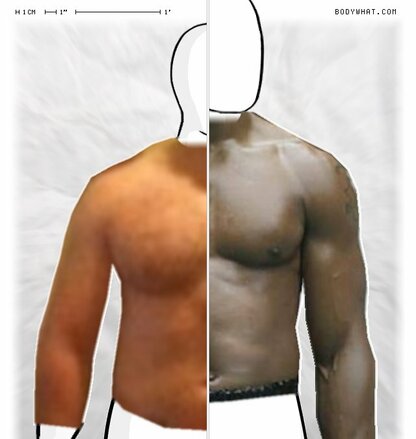 Torso Comparison