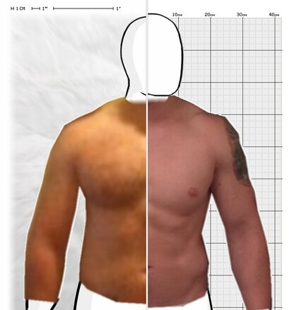 Torso Comparison