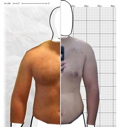 Torso Comparison