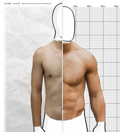 Torso Comparison