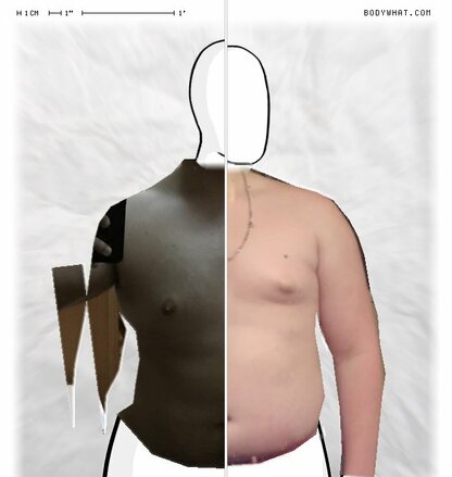 Torso Comparison