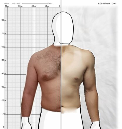 Torso Comparison