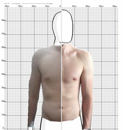 Torso Comparison